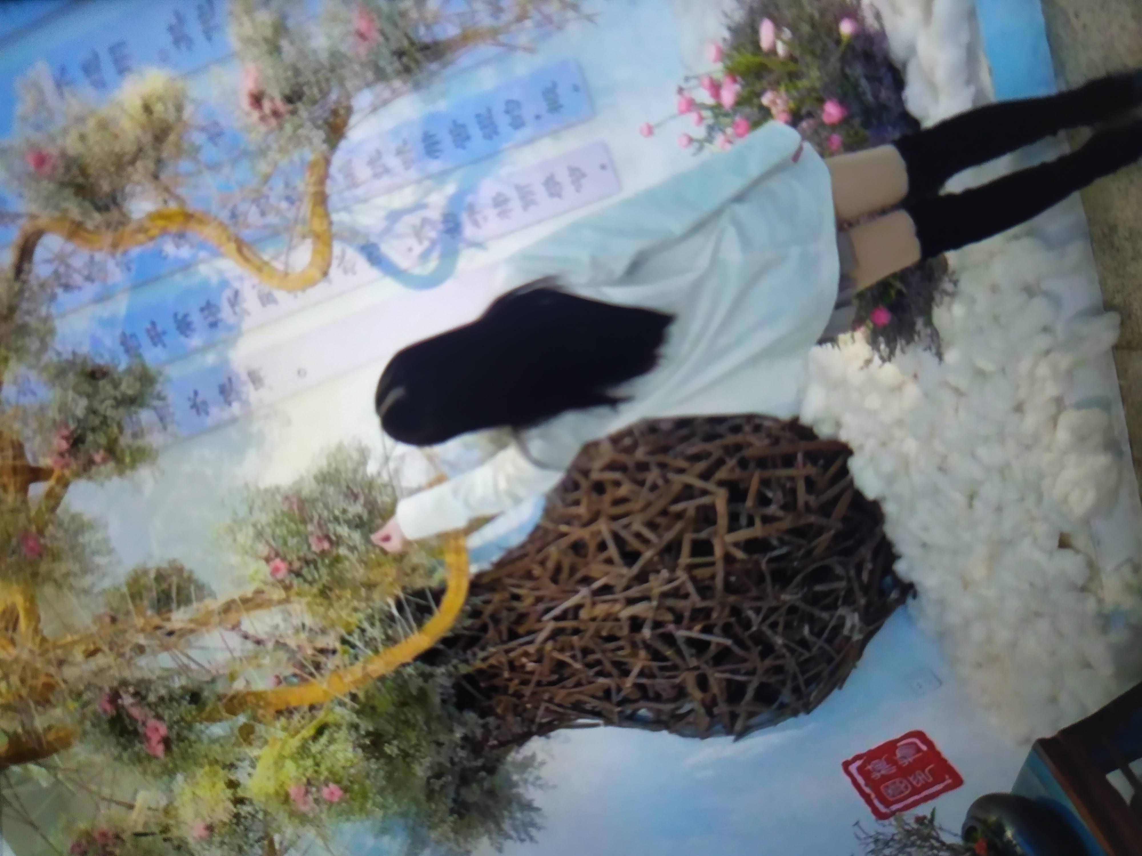 分享一个黄浦区兼职楼凤